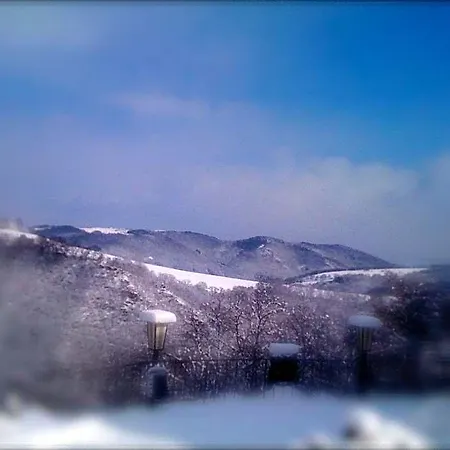 Berghotel Wintersberg Hotel 3*