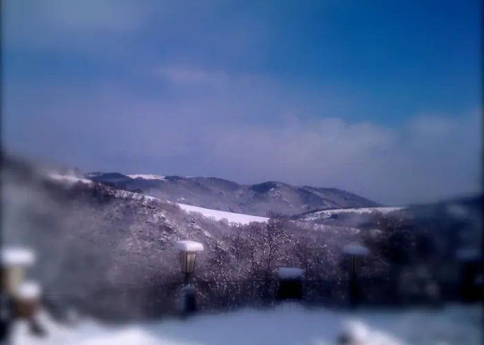 ホテル ベルクホテル ヴィンターベルク 3*