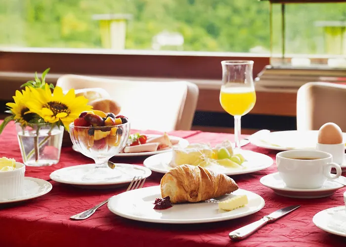 ベルクホテル ヴィンターベルク バート・エムス