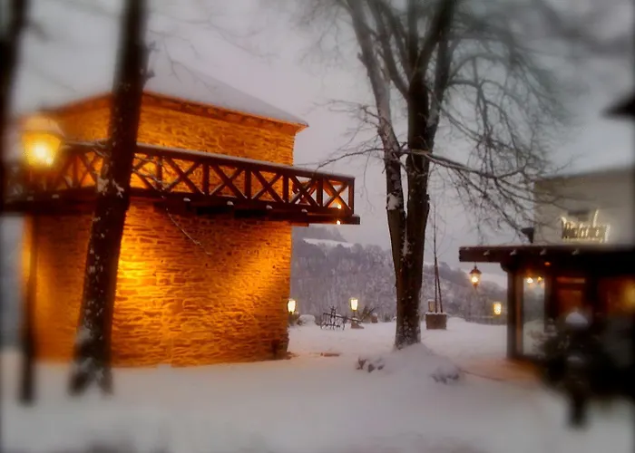 ホテル ベルクホテル ヴィンターベルク