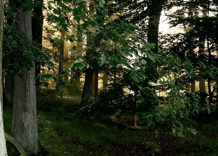 ベルクホテル ヴィンターベルク