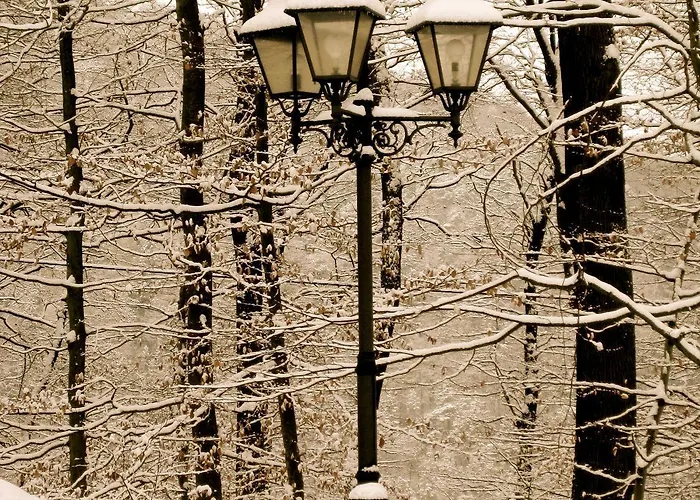 ベルクホテル ヴィンターベルク バート・エムス